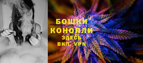 прущая мука Верея